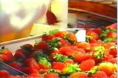 FOTOS (300) � IMAGEN FOTOGRAFIA